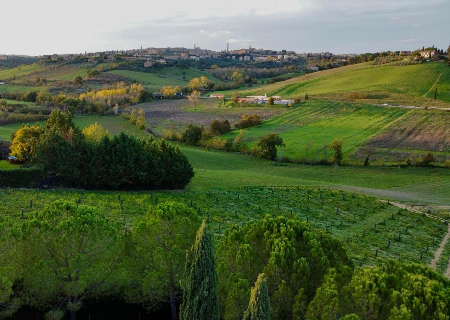 Agriturismo La Terrazza Sul Mangia Siena Exterior foto